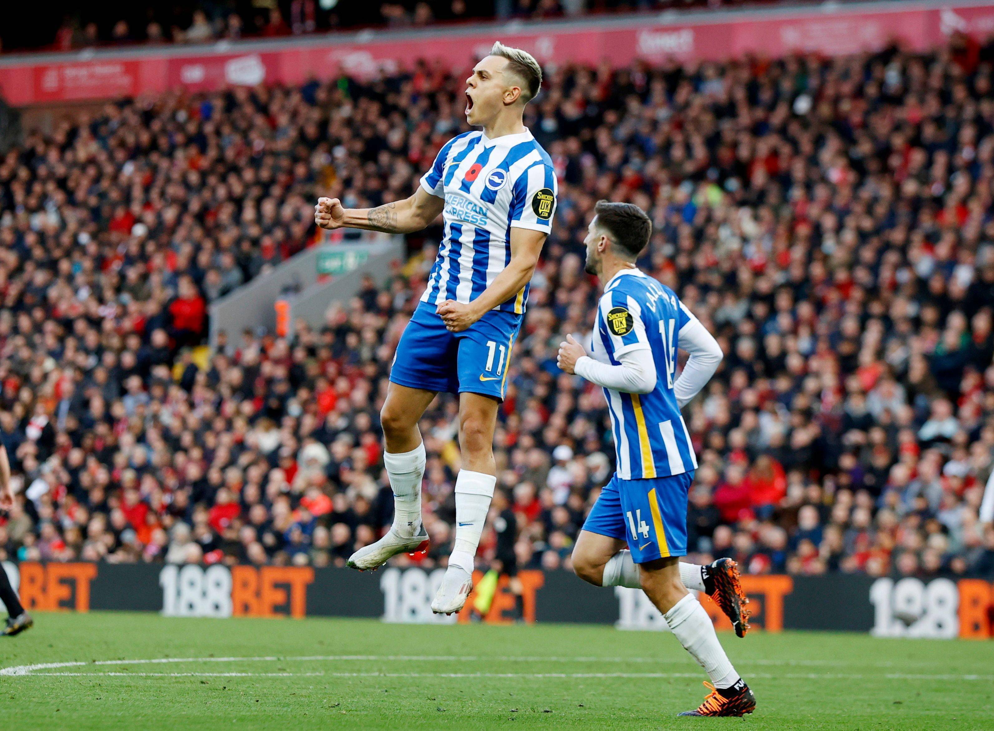 扑朔迷离 扑朔迷离